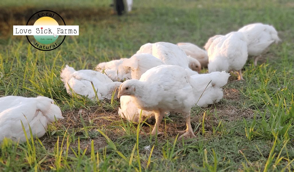 xem đá gà đòn bắc giang,Đặc điểm Đá Gà Đòn Bắc Giang: Nét Độc Đáo và Lịch Sử xem đá gà đòn bắc giang,Đặc điểm Đá Gà Đòn Bắc Giang: Nét Độc Đáo và Lịch Sử