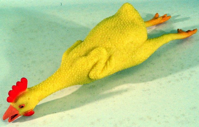 cách trộn ngũ cốc cho gà đá cách trộn ngũ cốc cho gà đá