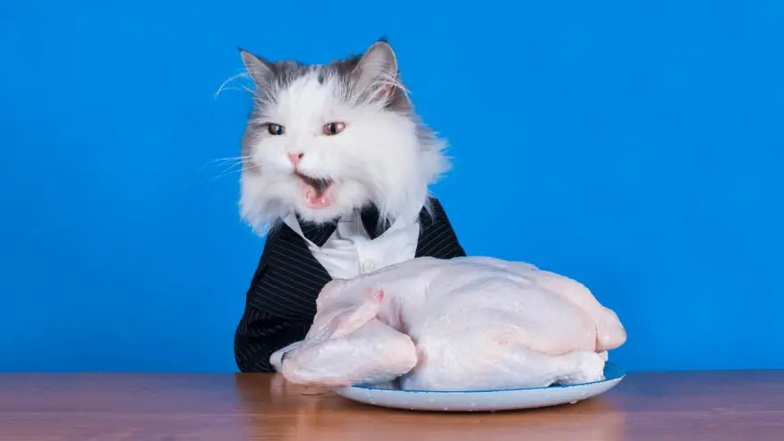 công an sóc trăng bắt đá gà,Giới thiệu về Công an Sóc Trăng bắt đá gà công an sóc trăng bắt đá gà,Giới thiệu về Công an Sóc Trăng bắt đá gà