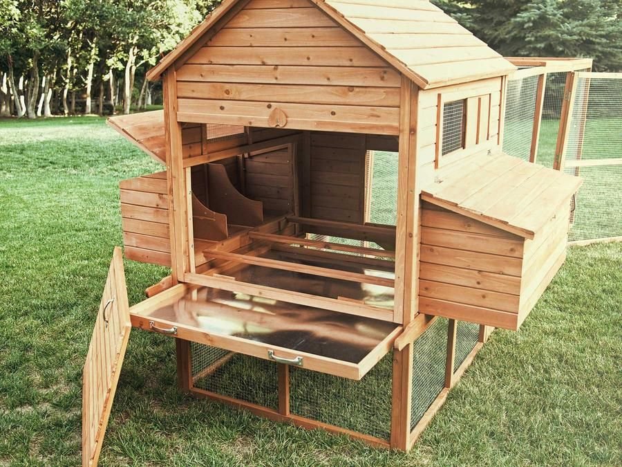 cách đổ gà đá cựa sắt,Cách Đổ Gà Đá Cựa Sắt: Bí Quyết Đảm Bảo Hiệu Quả Tối Ưu cách đổ gà đá cựa sắt,Cách Đổ Gà Đá Cựa Sắt: Bí Quyết Đảm Bảo Hiệu Quả Tối Ưu
